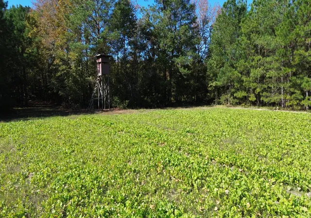 Homes for sale in Salters, SC | 0 Us 521, Salters, SC 29590 | MLS# 26007743