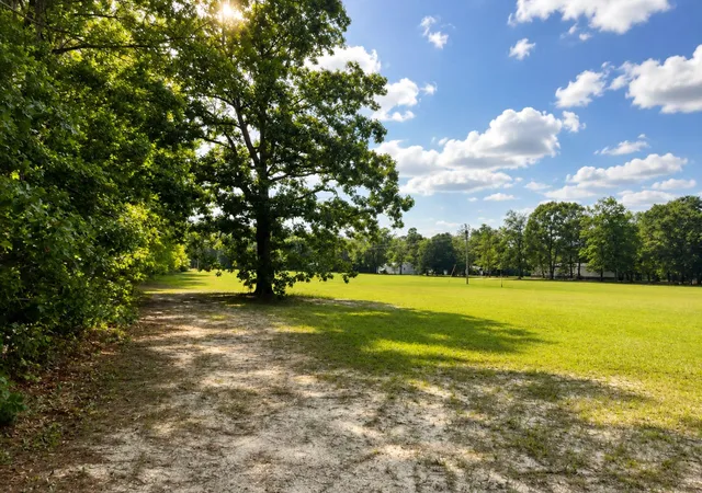Photo 3 of Land for sale at 00 Highway 45, Pineville, SC 29468 | MLS# 26021768 | Listing updated on 2026-09-29