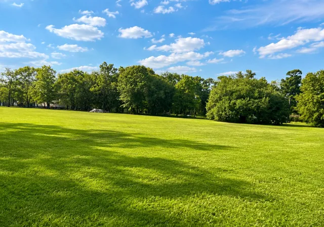 Photo 4 of Land for sale at 00 Highway 45, Pineville, SC 29468 | MLS# 26021768 | Listing updated on 2026-09-29