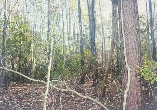 Photo 2 of Land for sale at 00 James Weston Dr, Awendaw, SC 29429 | MLS# 24006191 | Listing updated on 2026-06-16
