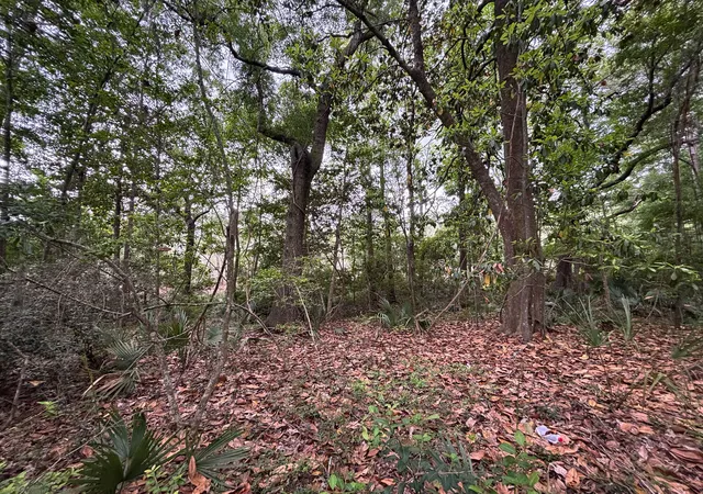 4th image of 0 River Rd #A-4, Johns Island, SC 29455 | MLS# 26014486