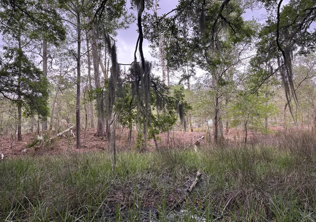 5th image of 0 River Rd #A-4, Johns Island, SC 29455 | MLS# 26014486