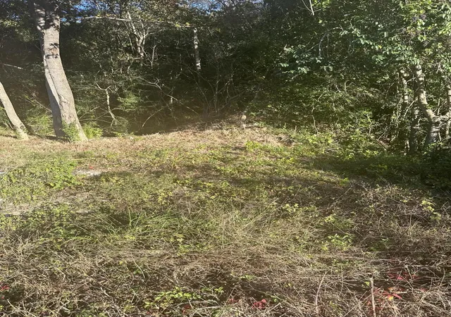 2nd image of 220 N Hwy 52, Moncks Corner, SC 29461 | MLS# 23025780