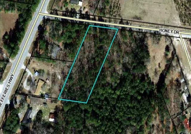 image of 76 Honey Dr, Walterboro, SC 29488 | MLS# 26022663