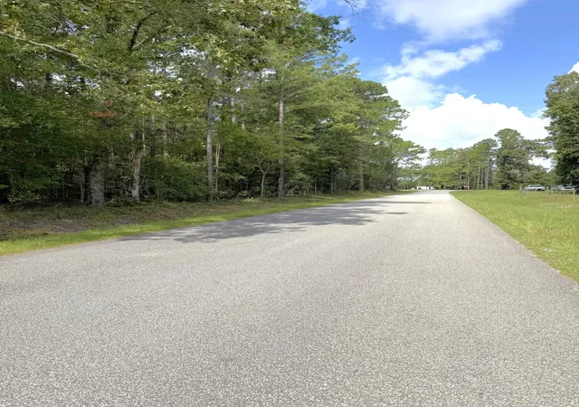 image of 76 Honey Dr, Walterboro, SC 29488 | MLS# 26022663