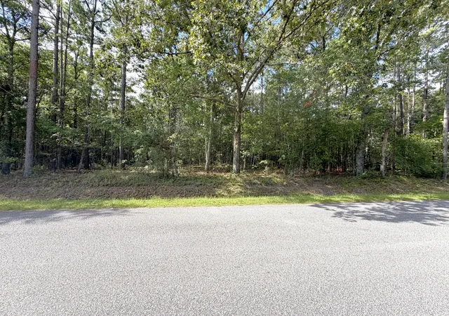 image of 76 Honey Dr, Walterboro, SC 29488 | MLS# 26022663