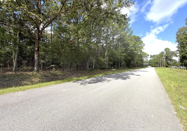 image of 76 Honey Dr, Walterboro, SC 29488 | MLS# 26022663