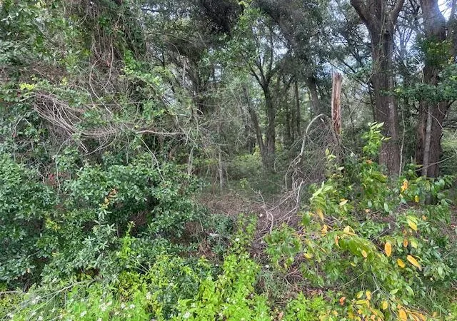 Photo 3 of Land for sale at 1236 Seaside Rd, Saint Helena Island, SC 29920 | MLS# 25025547 | Listing updated on 2026-08-27