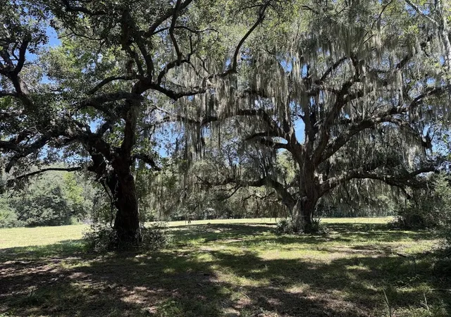 17th image of 7817 Little Britton Road (lot A 3), Hollywood, SC 29449 | MLS# 26023531