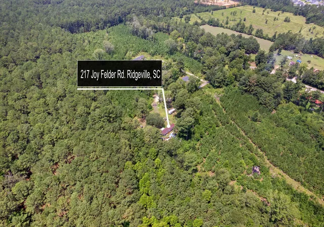 12th image of 217 Joe Felder Rd, Ridgeville, SC 29472 | MLS# 26021816