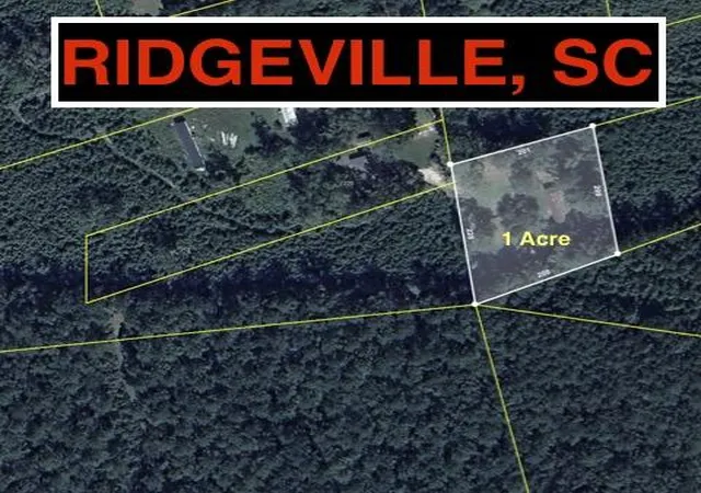 1st image of 217 Joe Felder Rd, Ridgeville, SC 29472 | MLS# 26021816