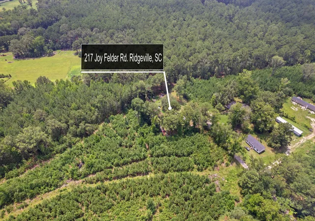 2nd image of 217 Joe Felder Rd, Ridgeville, SC 29472 | MLS# 26021816
