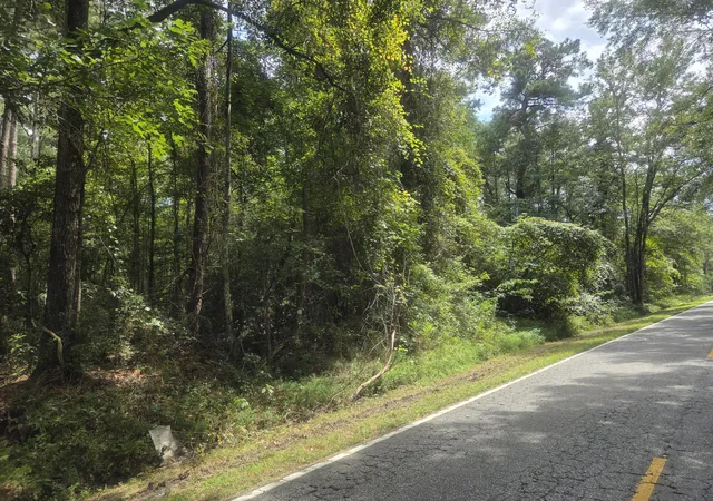 Homes for sale in Cottageville, SC | 0 Jacksonboro Rd, Cottageville, SC 29435 | MLS# 25028418
