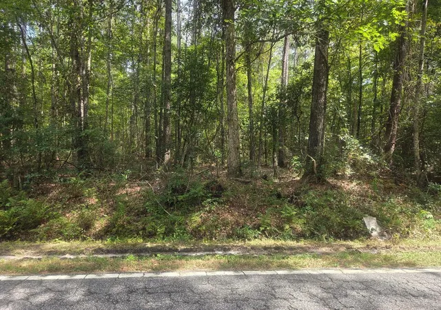 Photo 3 of Land for sale at 0 Jacksonboro Rd, Cottageville, SC 29435 | MLS# 25028418 | Listing updated on 2026-10-05