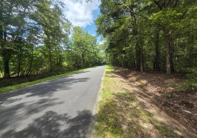 Homes for sale in Cottageville, SC | 0 Jacksonboro Rd, Cottageville, SC 29435 | MLS# 25028418