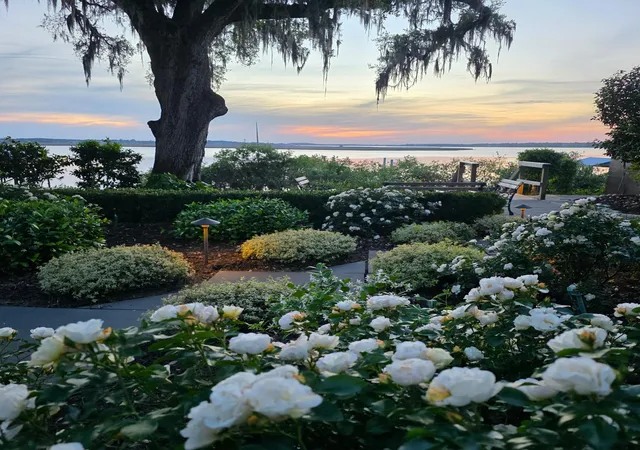 82nd image of 173 Stono Dr, Charleston, SC 29412 | MLS# 26009838