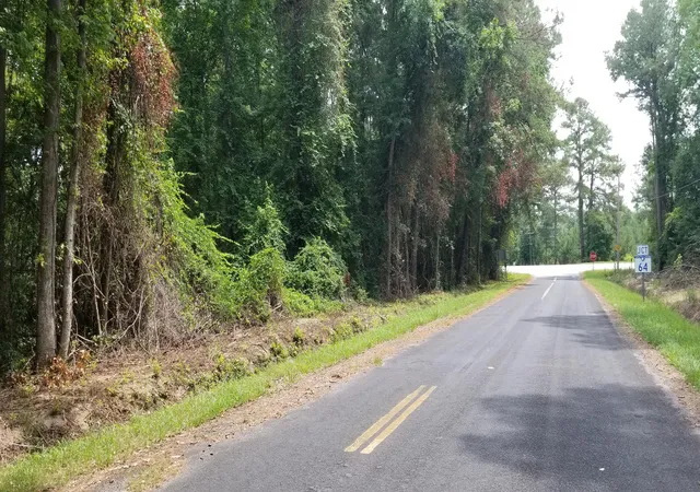 image of 0 Pine Needle Rd, Walterboro, SC 29488 | MLS# 26019872