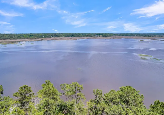 3rd image of 94 Lady Banks Ln, Ravenel, SC 29470 | MLS# 26013327