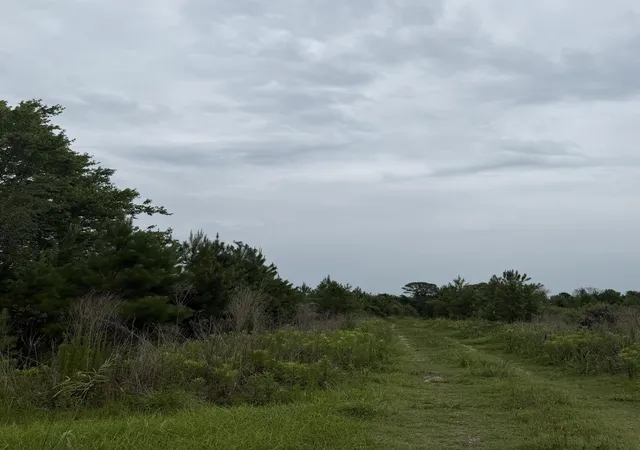 Photo 3 of Land for sale at 000 State, Holly Hill, SC 29059 | MLS# 26017484 | Listing updated on 2026-06-17