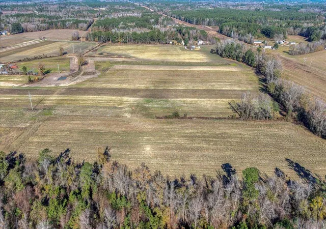 Photo 4 of Land for sale at 158 Sweatman Farm Rd, Saint George, SC 29477 | MLS# 25032872 | Listing updated on 2025-12-22