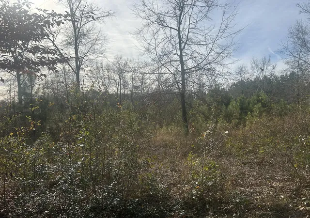 Photo 3 of Land for sale at 1 Old Jacksonboro Rd, Ravenel, SC 29470 | MLS# 26001901 | Listing updated on 2026-07-28