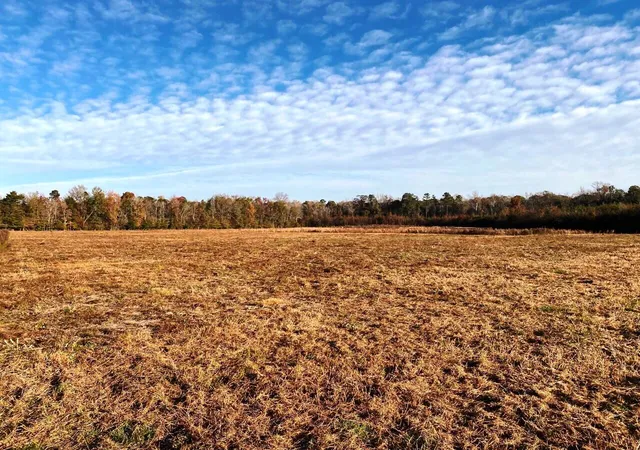 Photo 1 of Land for sale at 5306 State Rd, Holly Hill, SC 29059 | MLS# 21031982 | Listing updated on 2024-08-22