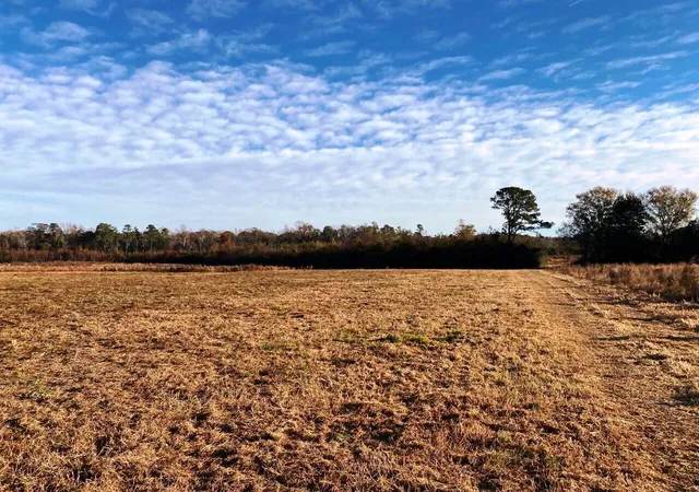 Photo 3 of Land for sale at 5306 State Rd, Holly Hill, SC 29059 | MLS# 21031982 | Listing updated on 2024-08-22