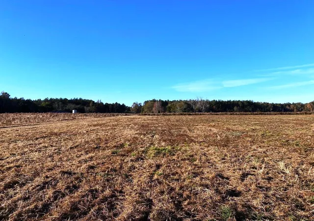 Photo 3 of Land for sale at 5306 State Rd, Holly Hill, SC 29059 | MLS# 21031982 | Listing updated on 2024-08-22
