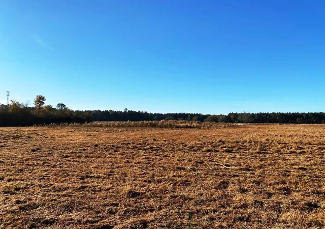 Photo 4 of Land for sale at 5306 State Rd, Holly Hill, SC 29059 | MLS# 21031982 | Listing updated on 2024-08-22