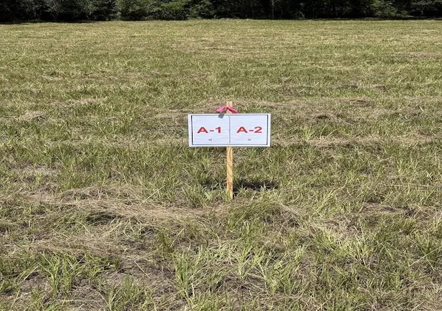 Photo 3 of Land for sale at 7817 Little Britton Rd (lot A 2), Hollywood, SC 29449 | MLS# 26023530 | Listing updated on 2026-09-09