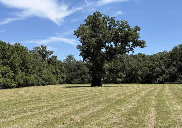 Photo 4 of Land for sale at 7817 Little Britton Rd (lot A 2), Hollywood, SC 29449 | MLS# 26023530 | Listing updated on 2026-09-09