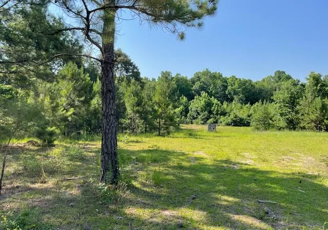 Photo 1 of Land for sale at 0 Old River Rd, Elloree, SC 29047 | MLS# 26023839 | Listing updated on 2026-08-21