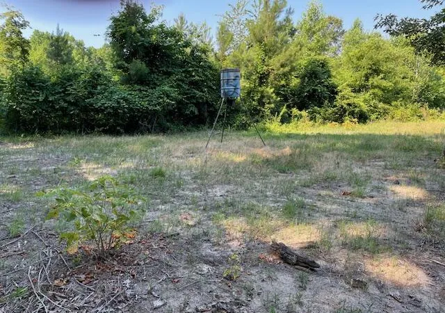 Photo 4 of Land for sale at 0 Old River Rd, Elloree, SC 29047 | MLS# 26023839 | Listing updated on 2026-08-21