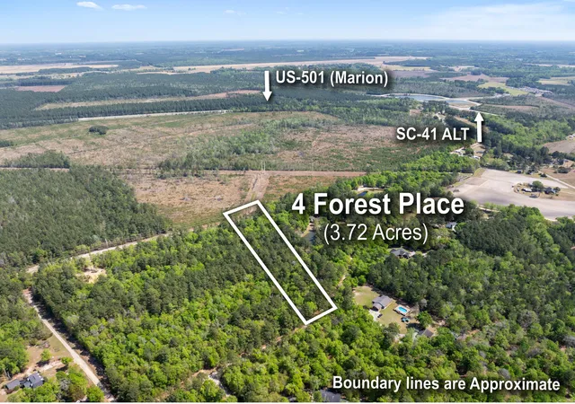Homes for sale in Marion, SC | 4 Forest Pl, Marion, SC 29571 | MLS# 26009443
