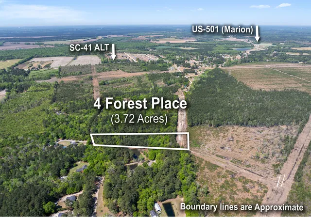 Homes for sale in Marion, SC | 4 Forest Pl, Marion, SC 29571 | MLS# 26009443