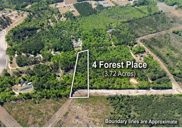 3rd image of 4 Forest Pl, Marion, SC 29571 | MLS# 26009443