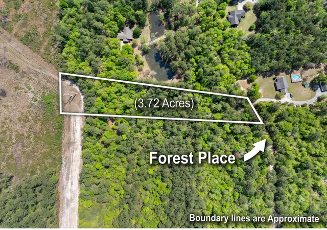 4th image of 4 Forest Pl, Marion, SC 29571 | MLS# 26009443