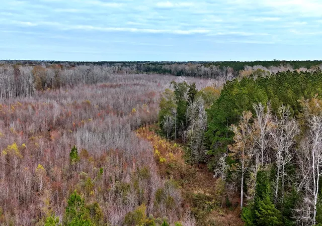 Photo 1 of Land for sale at 1215 Sandy Run Cir, Summerville, SC 29486 | MLS# 25032734 | Listing updated on 2025-12-18