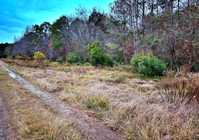 Photo 3 of Land for sale at 1215 Sandy Run Cir, Summerville, SC 29486 | MLS# 25032734 | Listing updated on 2025-12-18