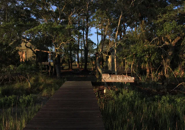 Photo 3 of Land for sale at 0 Cole, Folly Beach, SC 29439 | MLS# 26014656 | Listing updated on 2026-05-20
