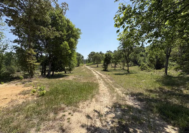 Photo 3 of Land for sale at 000 Ccc Rd #025-08-01-001, Beech Island, SC 29842 | MLS# 26012234 | Listing updated on 2026-04-29