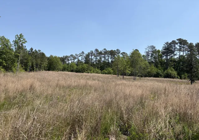 Photo 4 of Land for sale at 000 Ccc Rd #025-08-01-001, Beech Island, SC 29842 | MLS# 26012234 | Listing updated on 2026-04-29