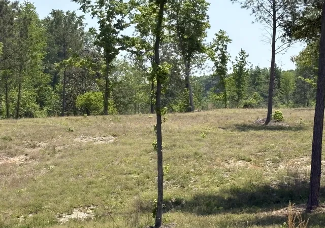 Photo 5 of Land for sale at 000 Ccc Rd #025-08-01-001, Beech Island, SC 29842 | MLS# 26012234 | Listing updated on 2026-04-29