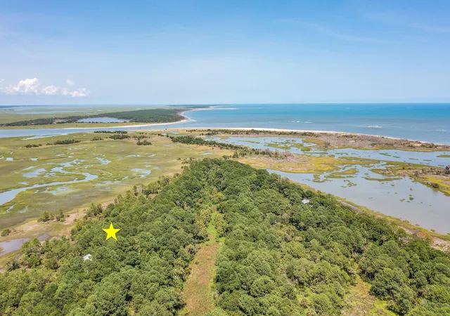 Homes for sale in Dewees Island, SC | 318 Old House Ln #Lot 109, Dewees Island, SC 29451 | MLS# 21021235