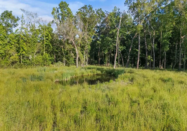 5th image of 5339 Hwy 162, Hollywood, SC 29449 | MLS# 26023219