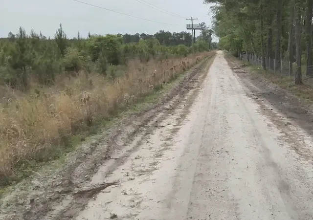 Photo 4 of Land for sale at O Acorn Rd, Walterboro, SC 29488 | MLS# 24011135 | Listing updated on 2025-12-31
