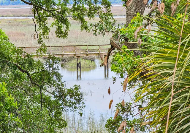 97th image of 17 Blake Ln, Seabrook, SC 29940 | MLS# 26012629