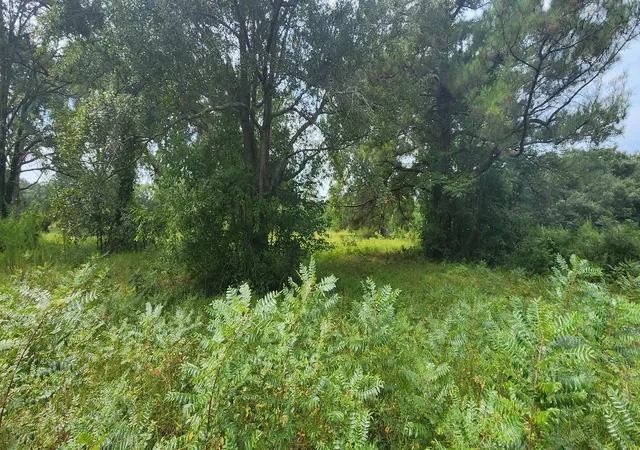 Photo 2 of Land for sale at 1246 Tennis Ln, Summerton, SC 29148 | MLS# 26023820 | Listing updated on 2026-08-21