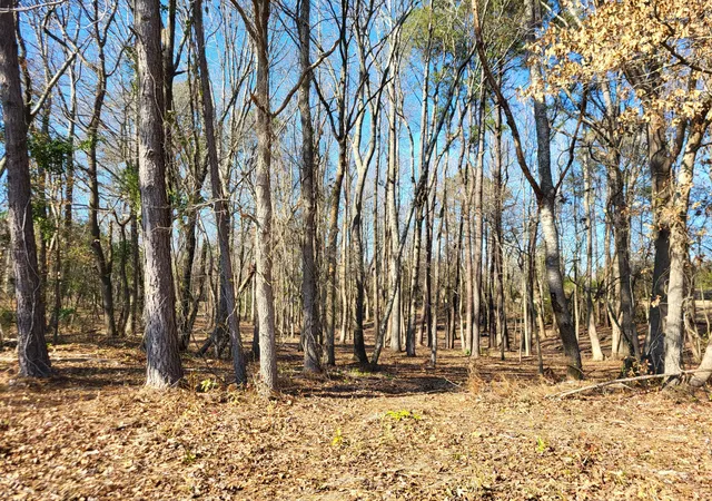 Photo 3 of Land for sale at Lot 2 Santee Lumber Rd, Santee, SC 29142 | MLS# 26002196 | Listing updated on 2026-10-05