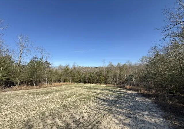 Homes for sale in Barnwell, SC | 0000 S Carolina 3, Barnwell, SC 29812 | MLS# 26010383
